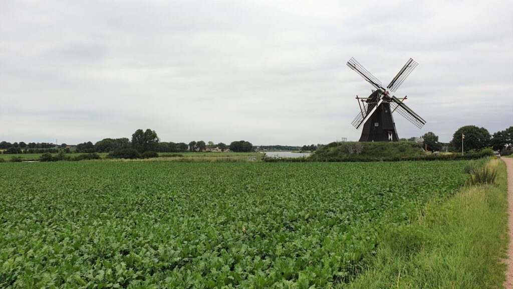 Fietsen in Limburg, overnachten in blokhut in Reuver