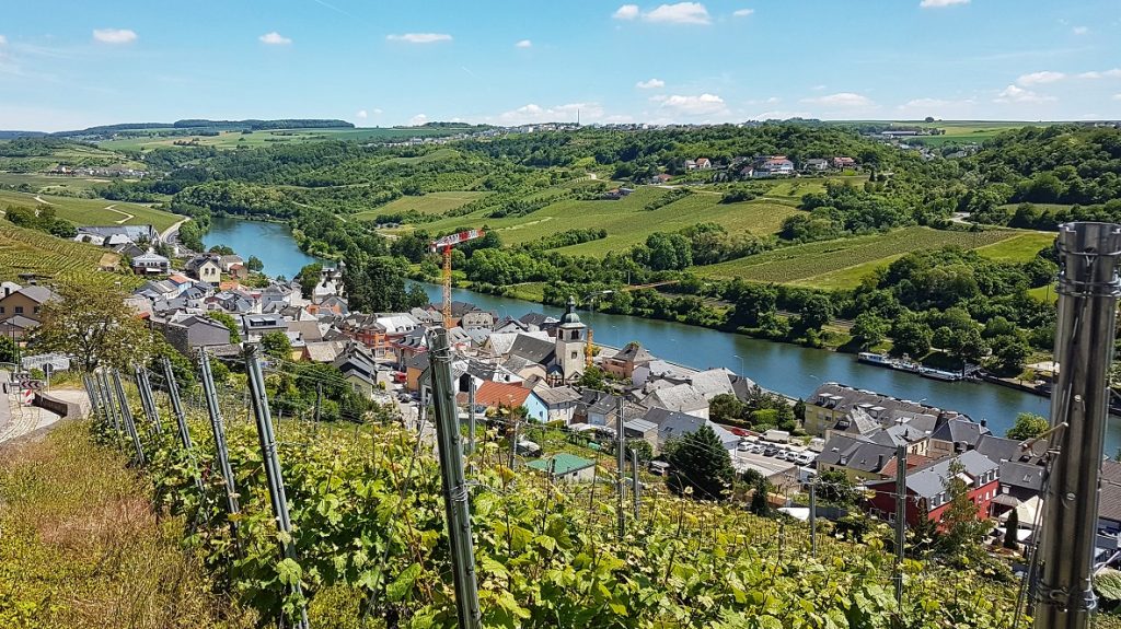 Uitzichtpunt Wormeldange Haute, Route du Vin, Wijnroute Luxemburg Moezel - roadtrip lang weekend weg Luxemburg tips