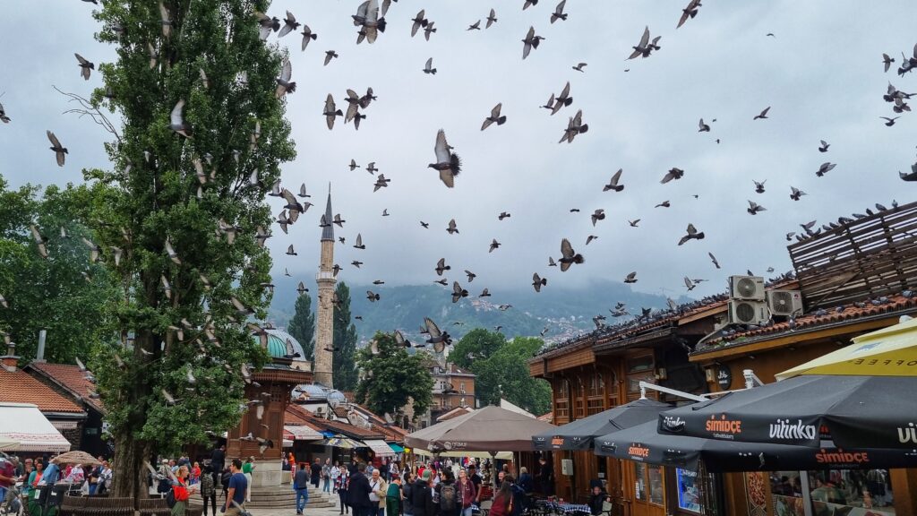 Pigeon Square; één van de tips om te doen in Sarajevo tijdens je stedentrip vol bezienswaardigheden