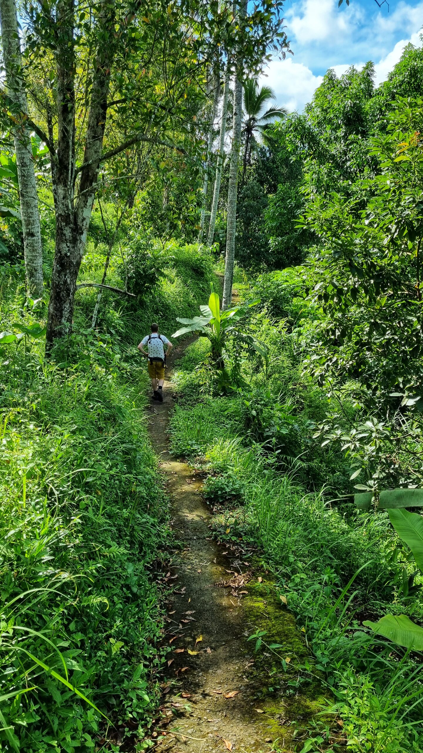 Wandeling Banyuatis waterval Atres Villa; doen in Munduk, tips voor het noorden van Bali