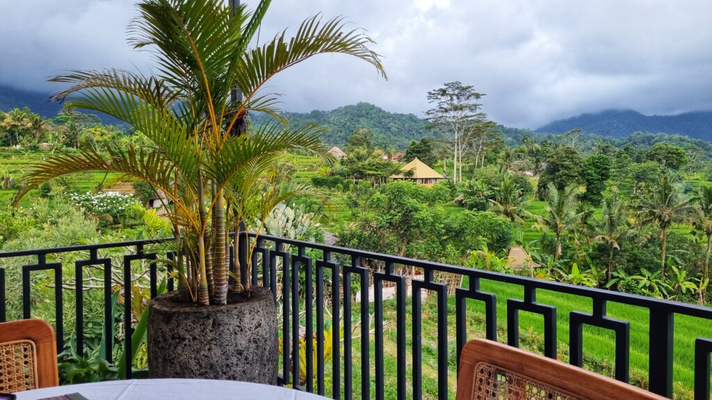 Eten in d'Padi restaurant met uitzicht op de rijstvelden; doen in Sidemen Oost Bali tips