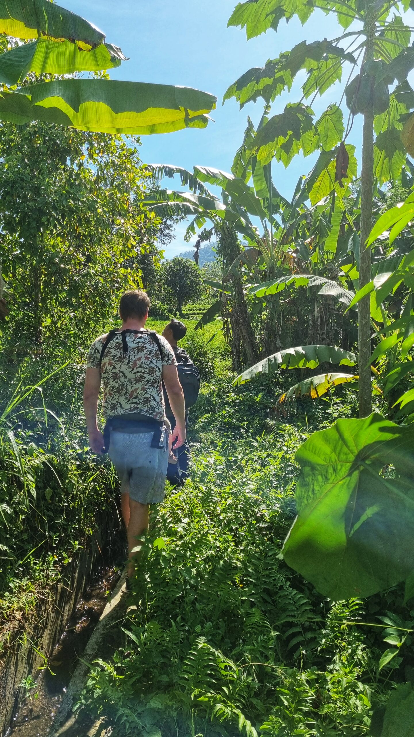 Wandeling met gids langs en door de rijstvelden; doen in Sidemen Oost Bali tips