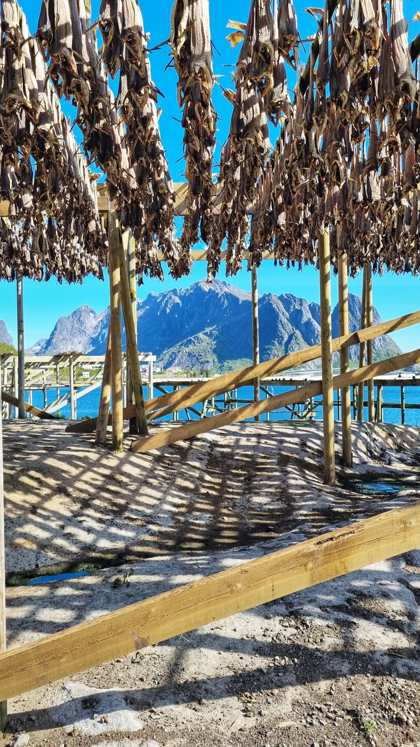 Stokvis Reine: Lofoten roadtrip route: bezienswaardigheden & tips