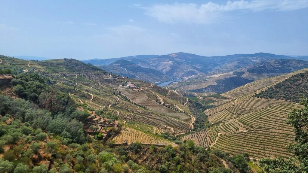 Pinhao Tabuaco route; mooiste autoroutes Douro vallei Portugal roadtrip tips