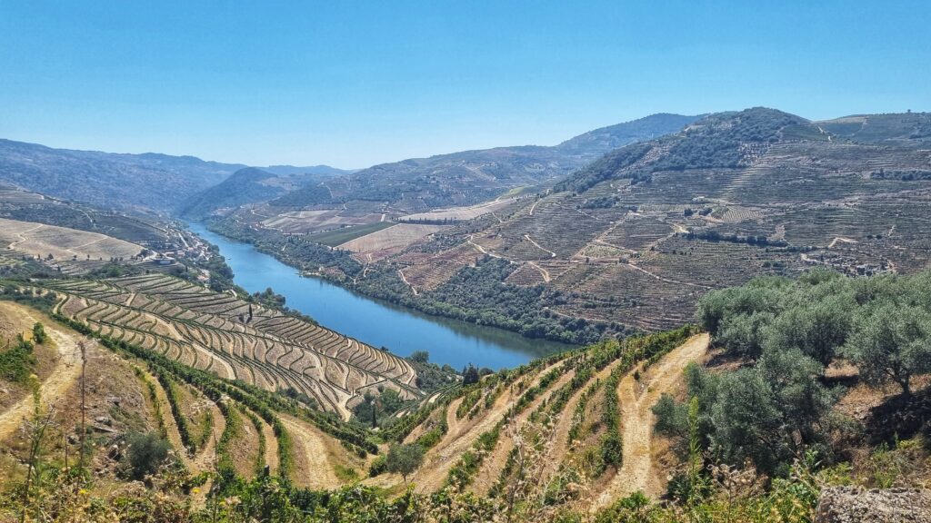 Uitzichtpunt, miradouro; mooiste autoroutes Douro vallei Portugal roadtrip tips