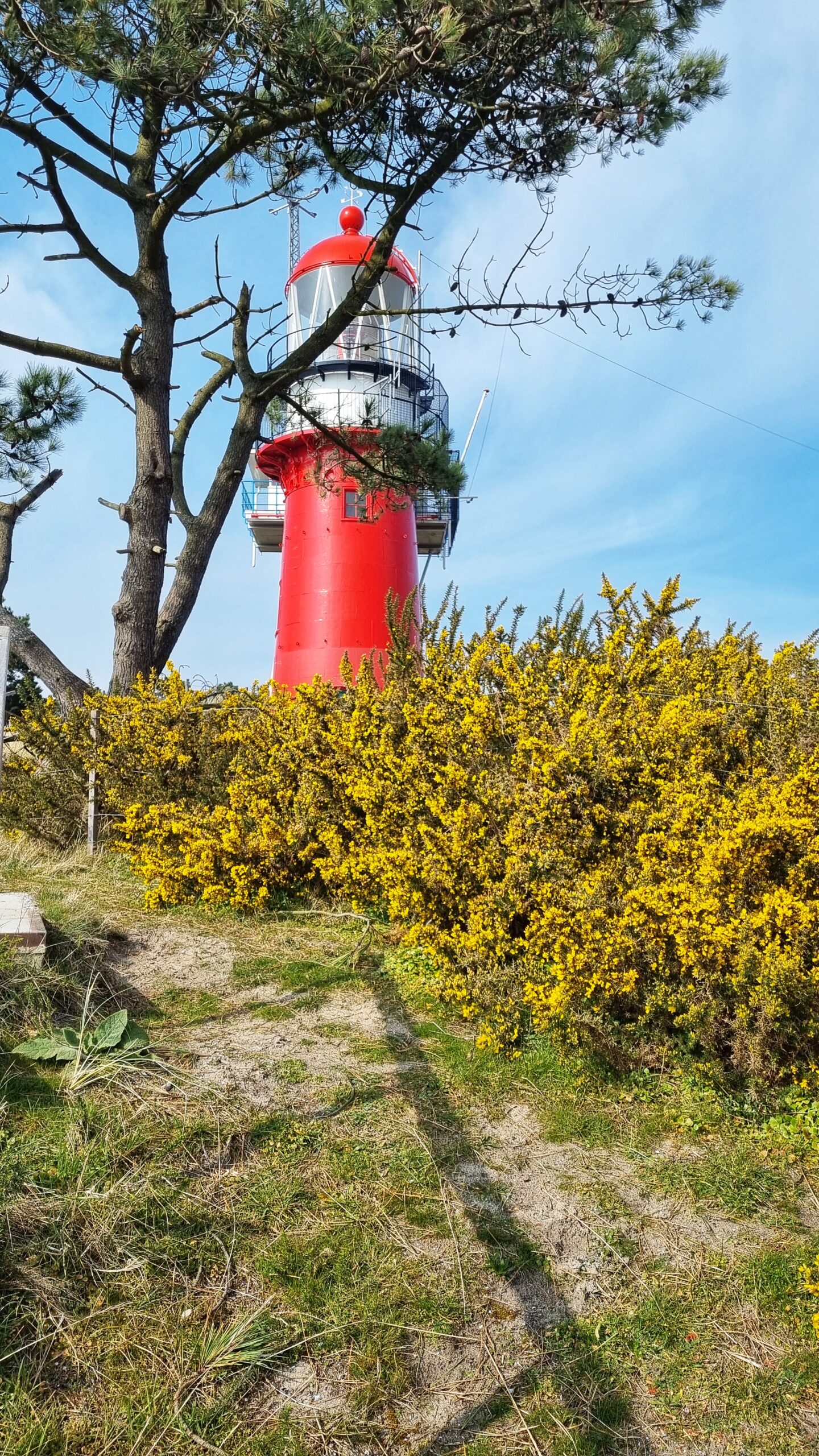 ; tips wat te doen op Vlieland, weekendje Waddeneilanden