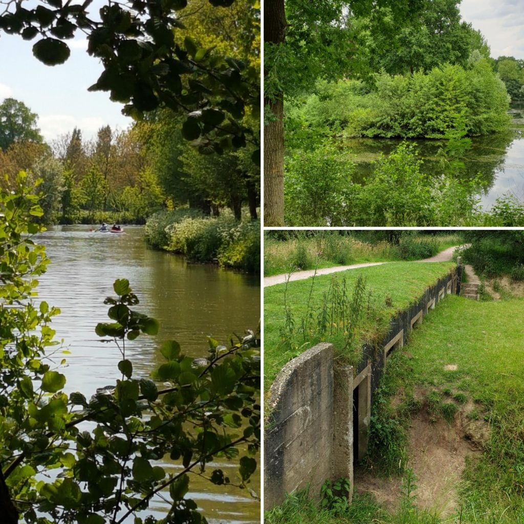 Wandelen in Utrecht, in rivierbos Amelisweerd en Rhijnauwen