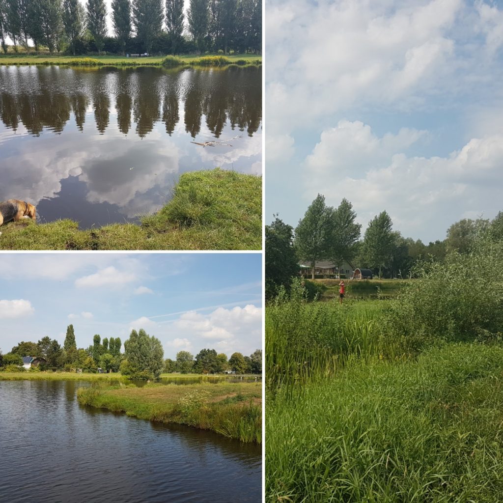 Wandelen in Utrecht Noorderpark Ruigenhoek & het Gagelbos