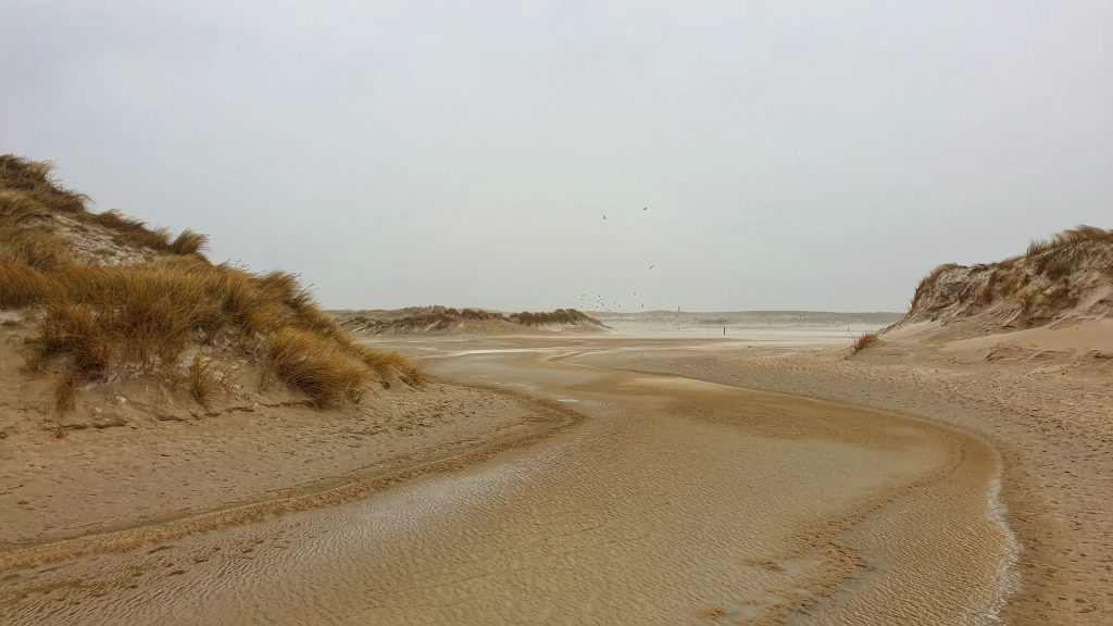 Wandelen in natuurgebied de Slufter op Texel - doen op Texel in een lockdown weekend in de winter