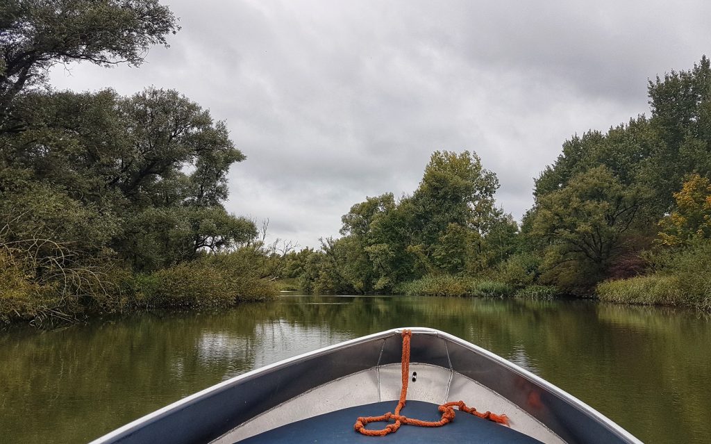 Bootje varen Biesbosch weekendje weg Dordrecht
