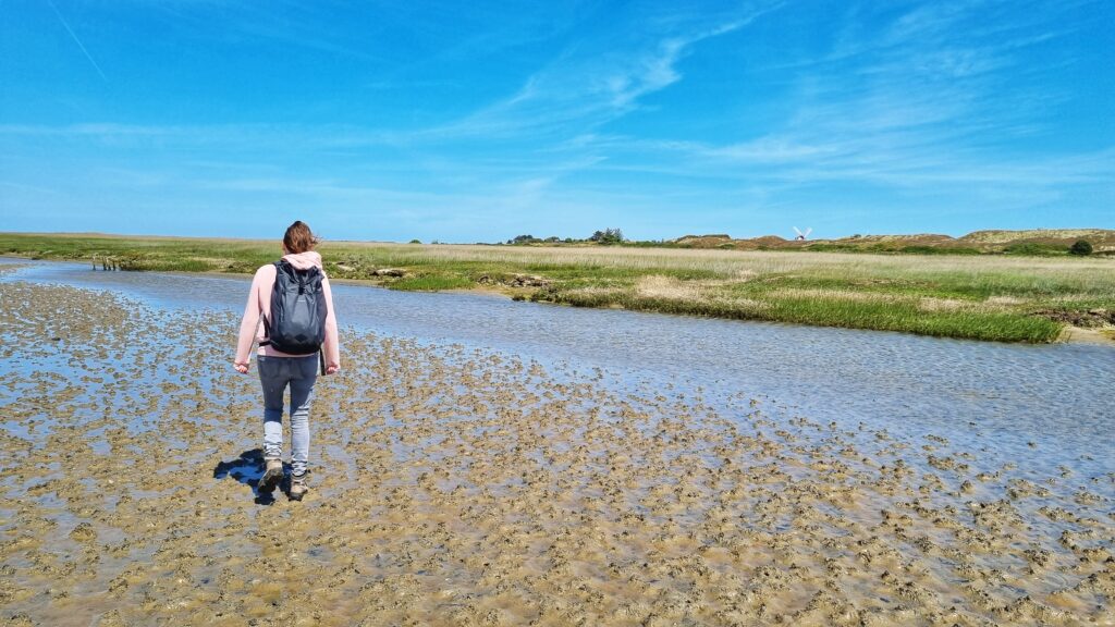 Wadlopen Mandø, waddeneilanden Denemarken, bezoeken met eb traktorbus