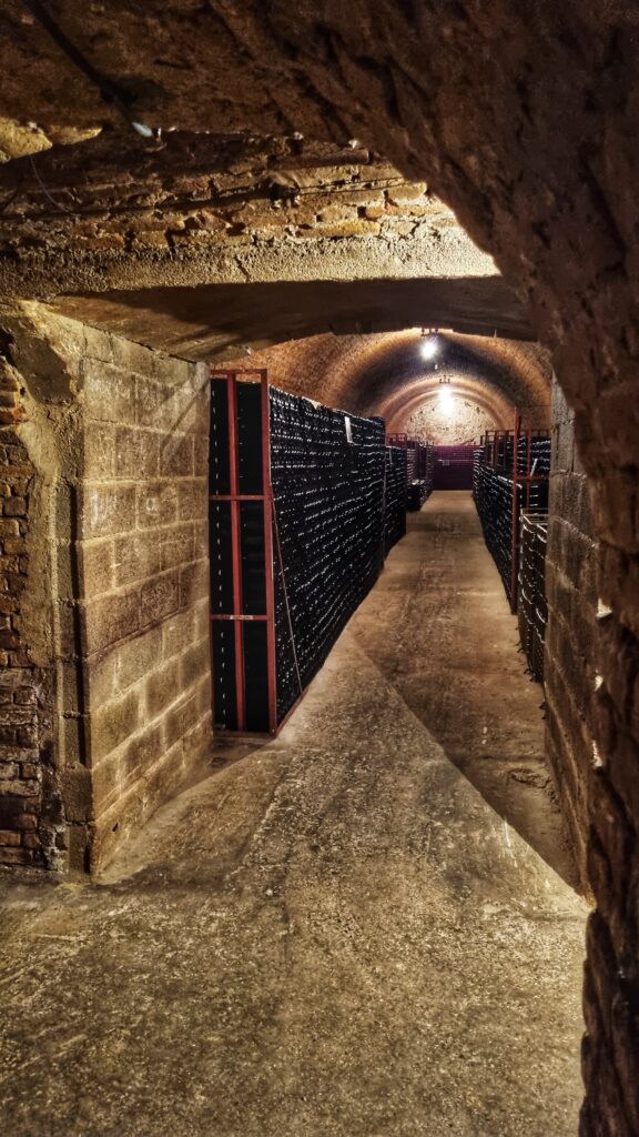 Kelder Champagne Daniel Dumont: Lang weekend Champagne: wijnroute champagnestreek auto tips
