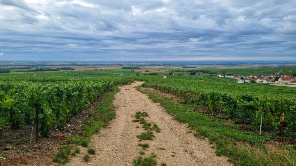 Lang weekend Champagne: wijnroute champagnestreek auto tips