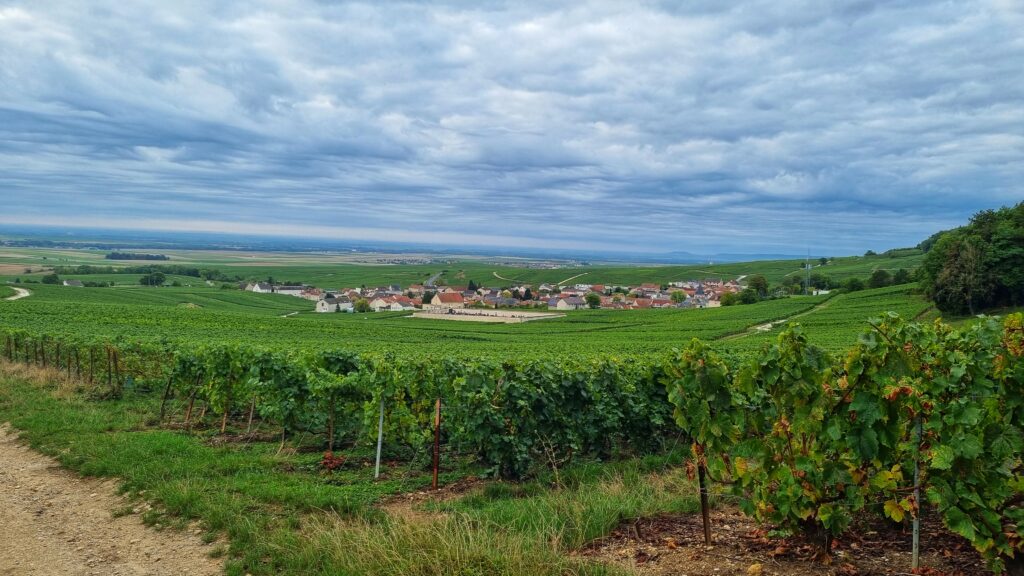 Lang weekend Champagne: wijnroute champagnestreek auto tips