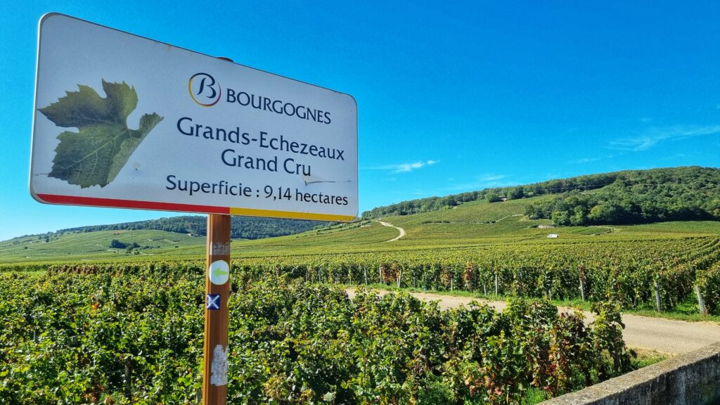 Grand Cru wijngaard: tips voor Bourgogne wijnroute Route des Grands Crus