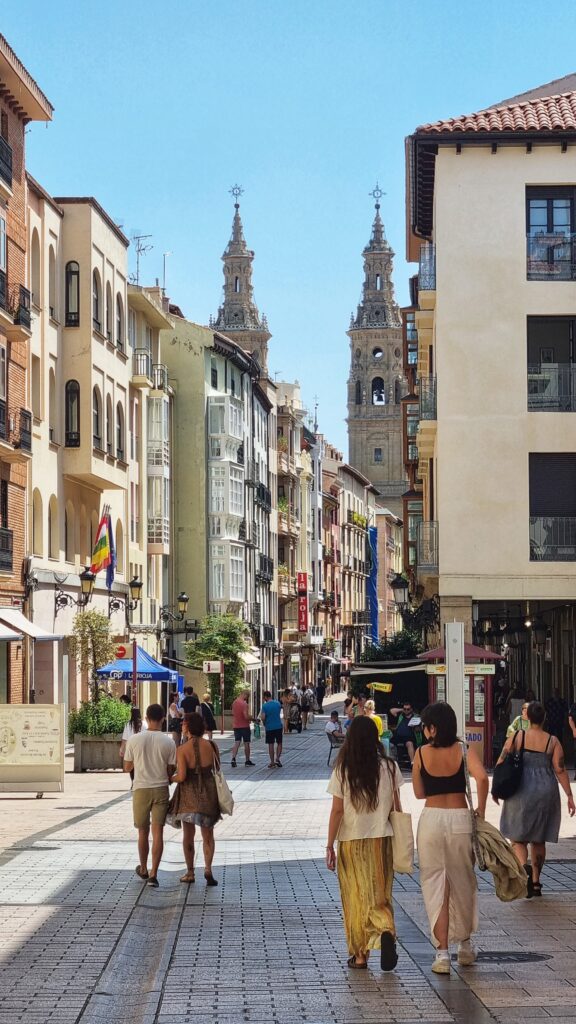 Stadswandeling historisch centrum; bezienswaardigheden en tips wat te doen in Logroño, La Rioja wijnroute, Spanje