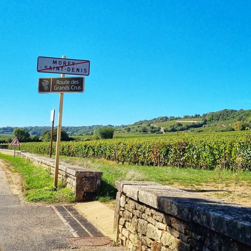 Wijngaarden Bourgogne, wijnroute Route des Crus; tips bezienswaardigheden + wat te doen in Beaune, Bourgogne (tussenstop Route du Soleil)