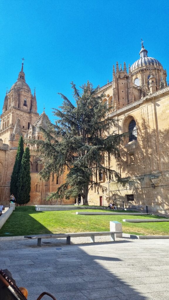 Kathedraal; wat te doen in Salamanca, de mooiste stad van Spanje: bezienswaardigheden + tips