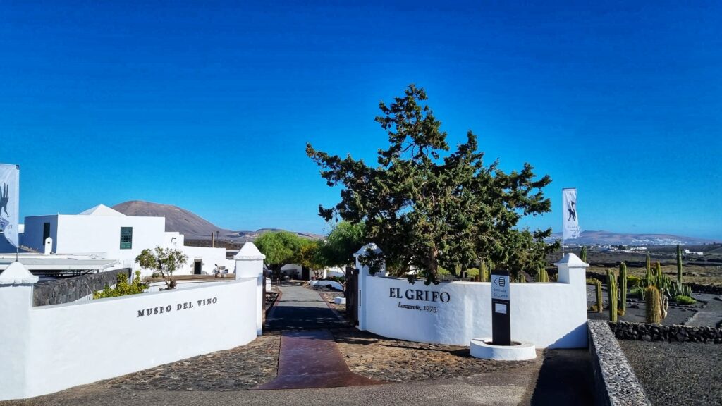 Bodegas El Grifo; tip in de bijzondere wijngaarden Lanzarote in wijnstreek La Geria