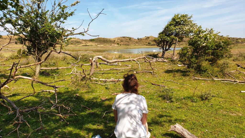 Wandelen en fietsen in Nationaal Park Zuid-Kennemerland, Bloemendaal aan Zee