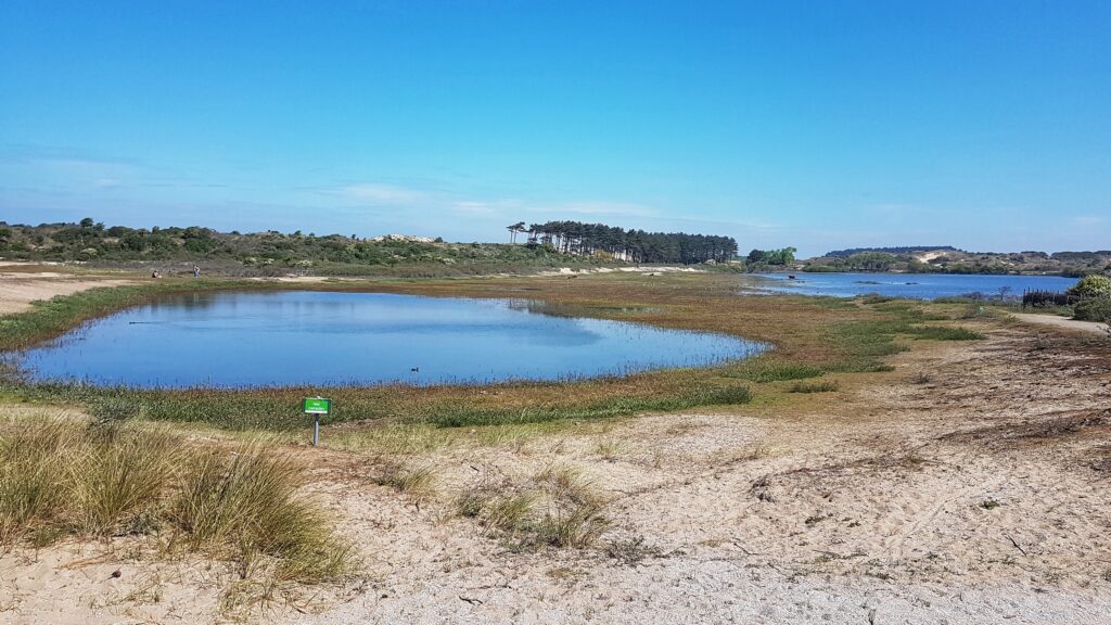 Wandelen en fietsen in Nationaal Park Zuid-Kennemerland, Bloemendaal aan Zee
