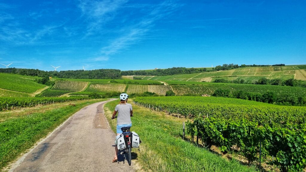 Fietsen door de wijngaarden; tips wat te doen in Chablis, Bourgogne, wijnstreek en dorp