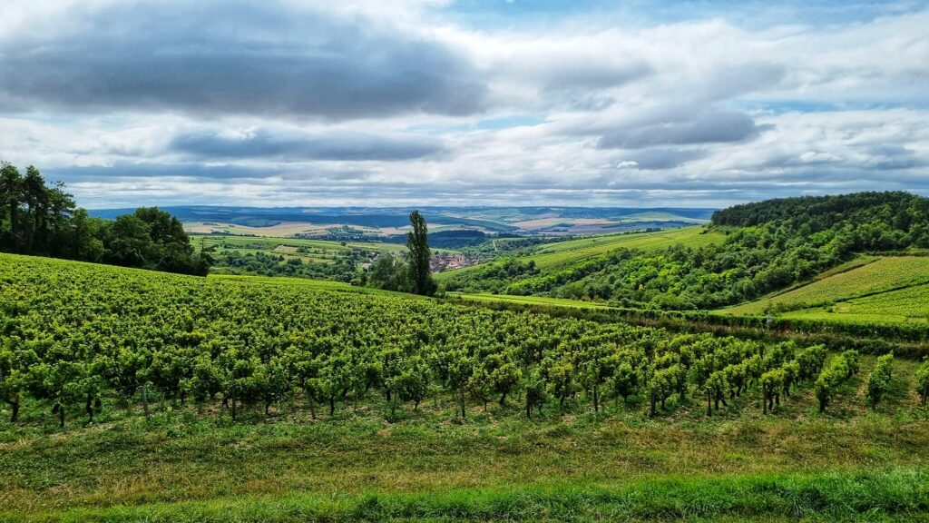 Irancy uitzichtpunt; tips wat te doen in Chablis, Bourgogne, wijnstreek en dorp