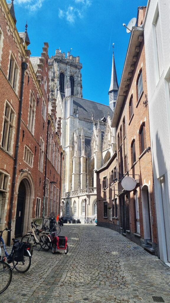Sint-Rombuitskathedraal; tips wat te doen in Mechelen, een stedentrip weekendje