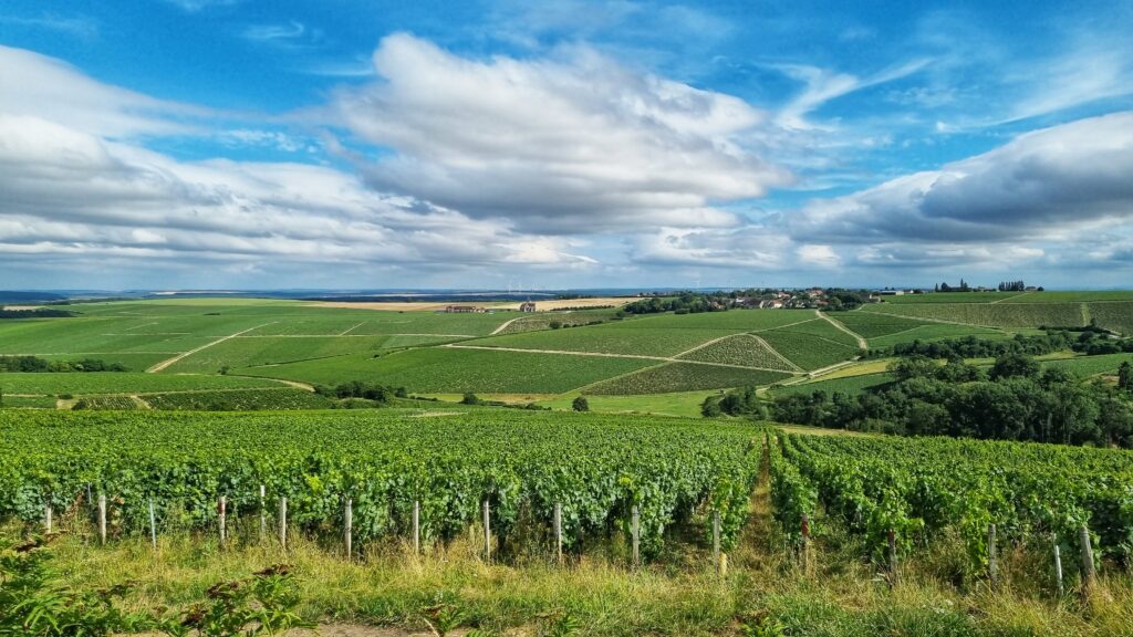 Wandelen wijngaarden; tips wat te doen in Chablis, Bourgogne, wijnstreek en dorp