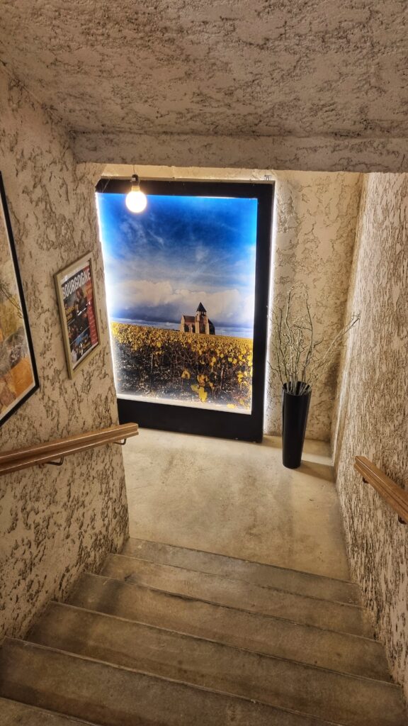 Wijnproeverij wijnhuis Brocard; tips wat te doen in Chablis, Bourgogne, wijnstreek en dorp