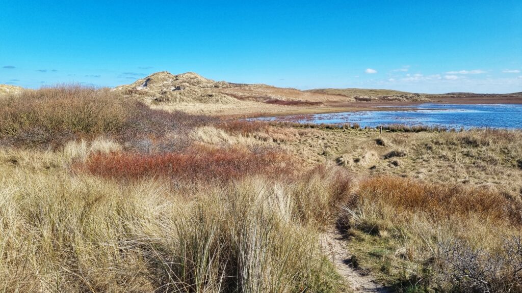 Duinen, Oostende, Boschplaat; leuke tips wat te doen op Terschelling