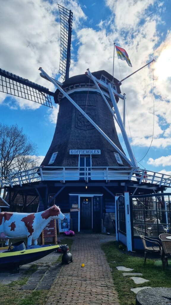 Koffiemolen, koffie + cranberry kwarktaart; leuke tips wat te doen op Terschelling