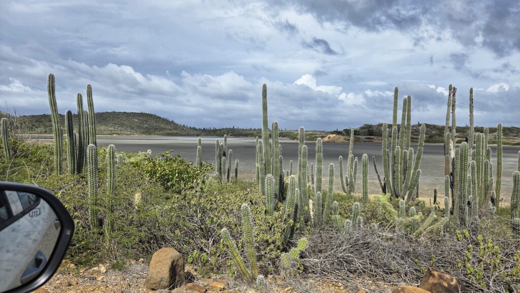 Salina Mijter, Washington Slagbaai National Park, Bonaire